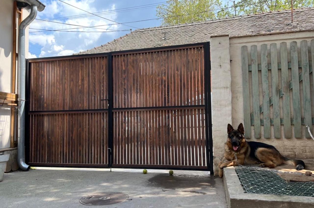 Sremski Karlovci Center Homestay Exterior foto